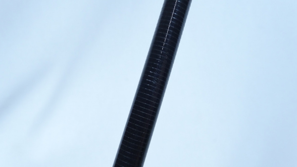 12ソルティステージ KR-X  SHS-255MS-KRヒトツテンヤ真鯛